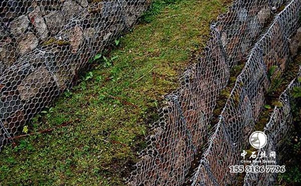 铅丝石笼.jpg