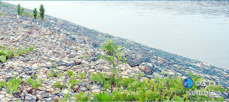 铅丝笼治理河道